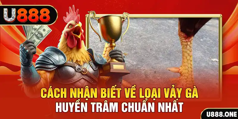 link onbet Chú hề Patty tuổi teen