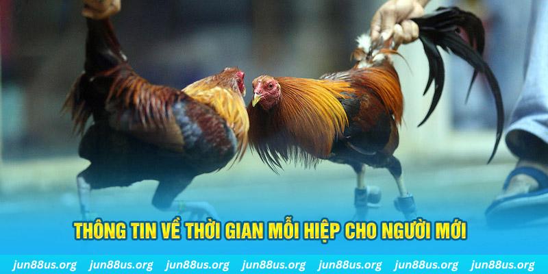 link onbet Long Hổ 2