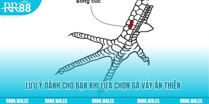 link onbet how to play roulette at casino