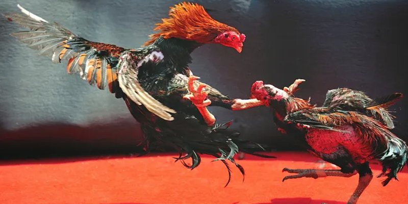 link onbet đăng nhập nổ hũ số 1