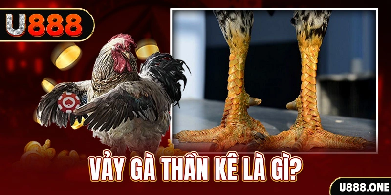 link onbet xổ số miền bắc thứ tư hàng tuần