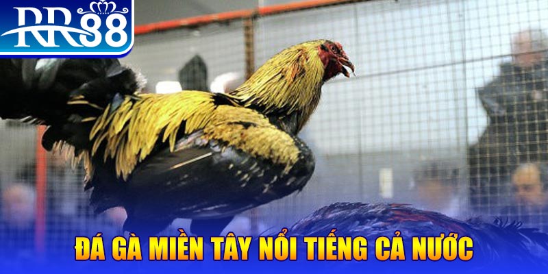 đăng nhập liêng miễn phí