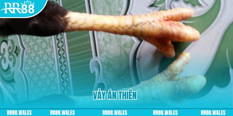 link onbet who wants to be a millionaire slot