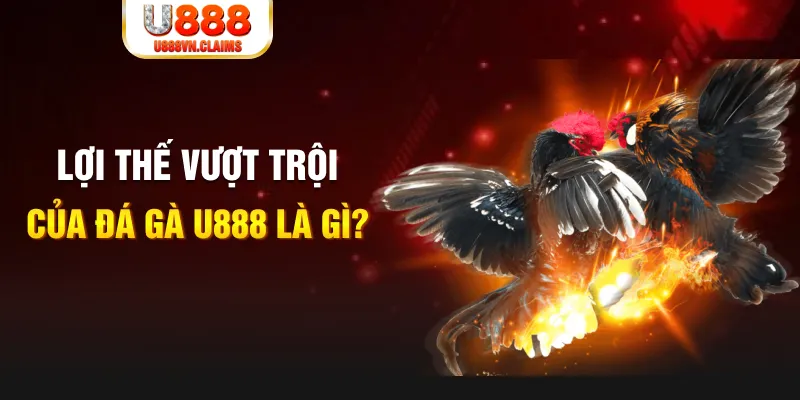 link onbet 888 slot là gì